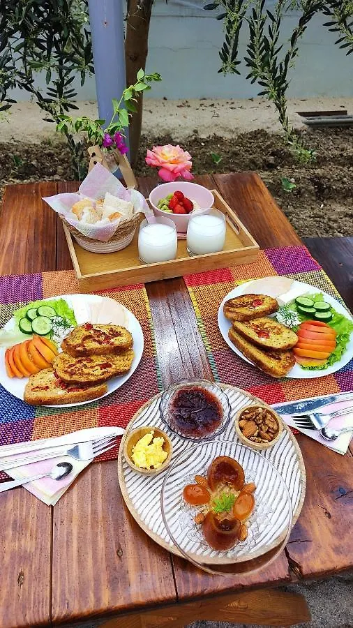 Elvish Garden Boutique B&B Berat